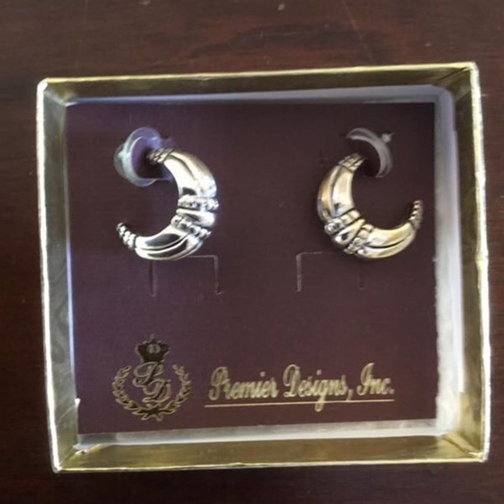 “Lavista” Silver Earrings (Costume Jewelry)